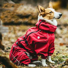 PawLuv™ «Tracker» Waterproof Rain Jacket