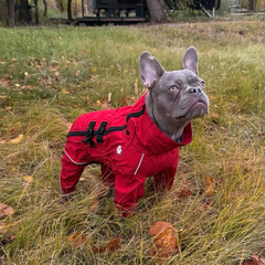 PawLuv™ «Tracker» Waterproof Rain Jacket