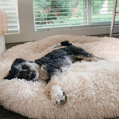 PawLuv™ - World's #1 Anxiety Relieving Dog Bed