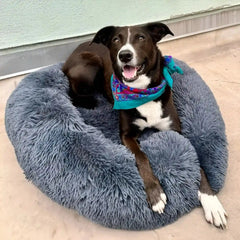 PawLuv™ - World's #1 Anxiety Relieving Dog Bed