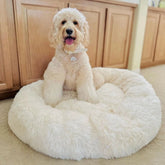 PawLuv™ - World's #1 Anxiety Relieving Dog Bed