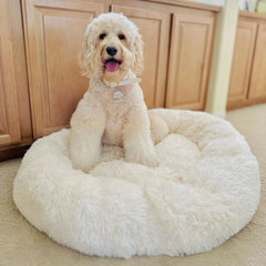 PawLuv™ - World's #1 Anxiety Relieving Dog Bed
