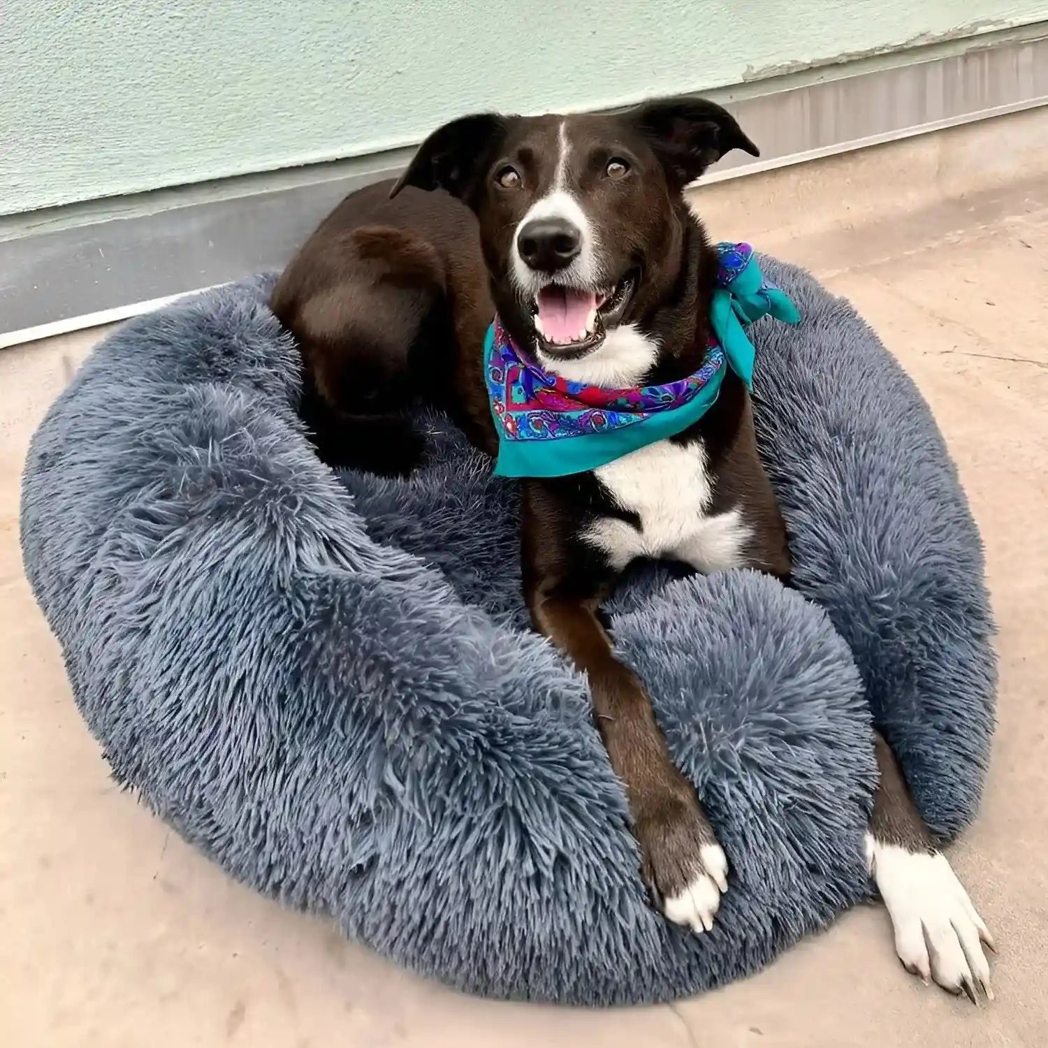 PawLuv™ - World's #1 Anxiety Relieving Dog Bed