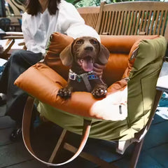 PawLuv™ Luxury Pet Booster Seat