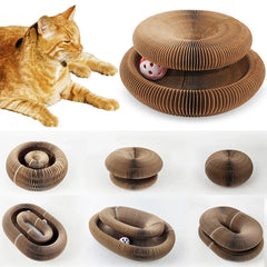 PawLuv™ Organ Cat Scratch