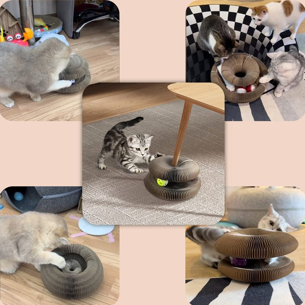 PawLuv™ Organ Cat Scratch