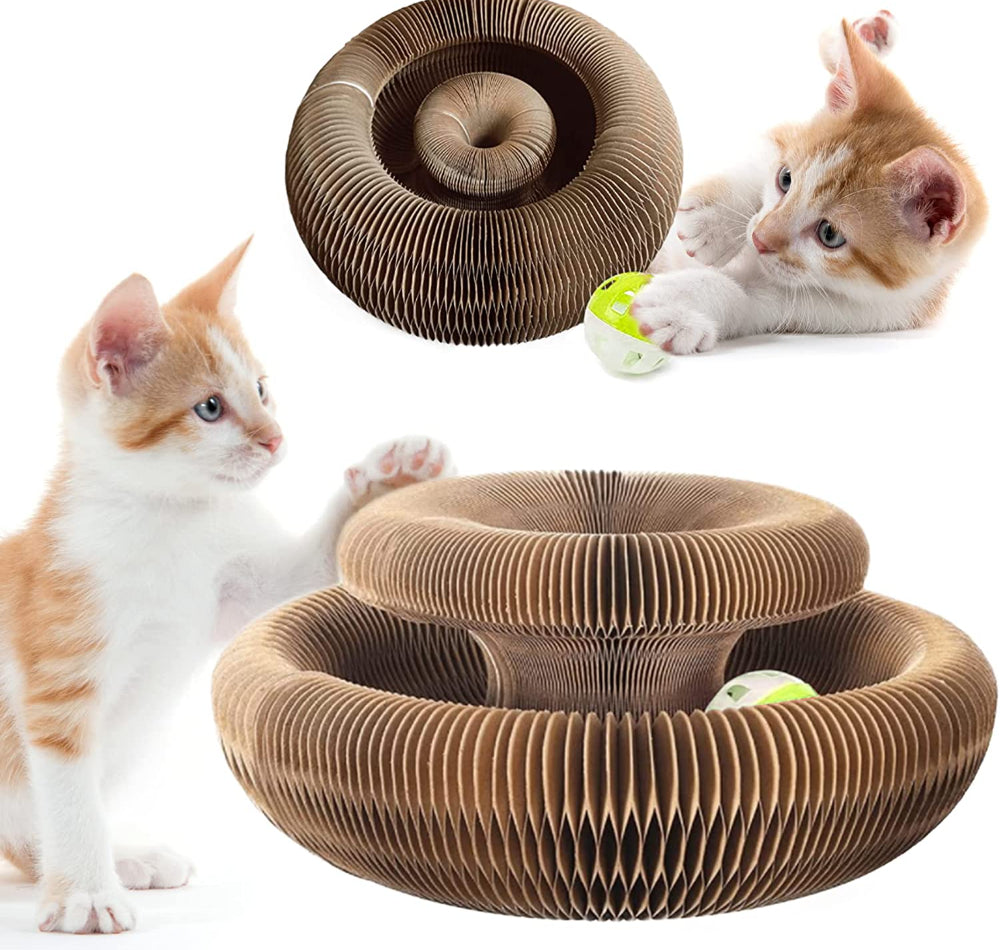 PawLuv™ Organ Cat Scratch