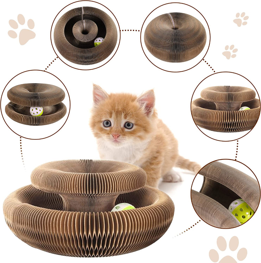 PawLuv™ Organ Cat Scratch